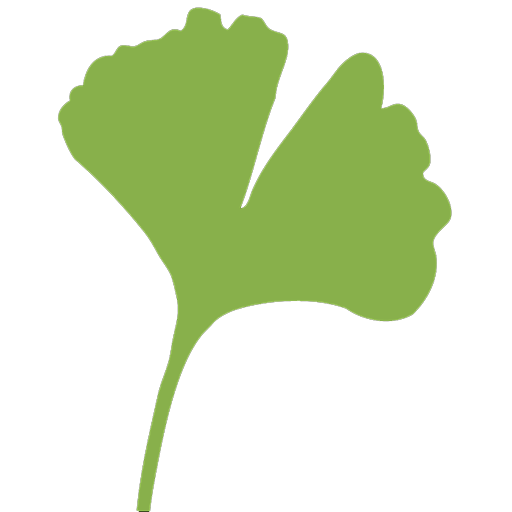 ginkgo
