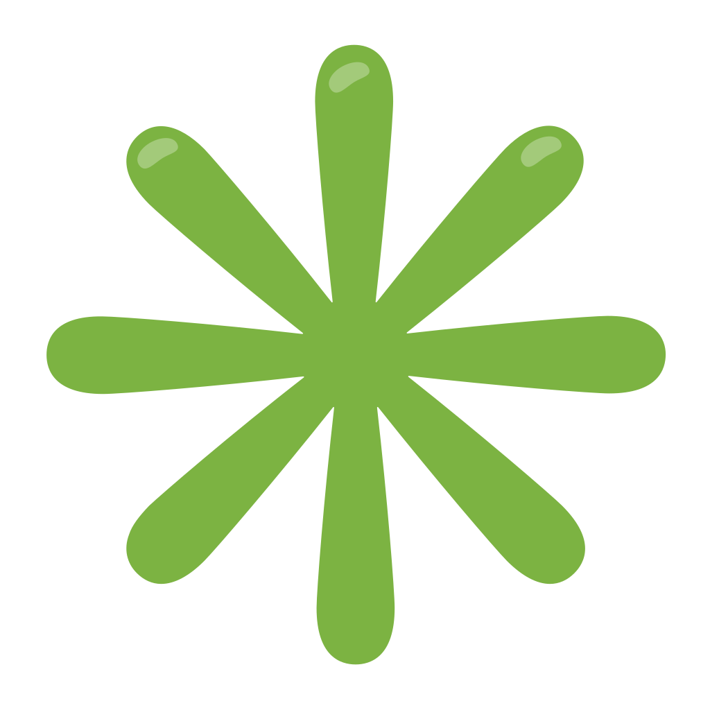 eight-pointed star